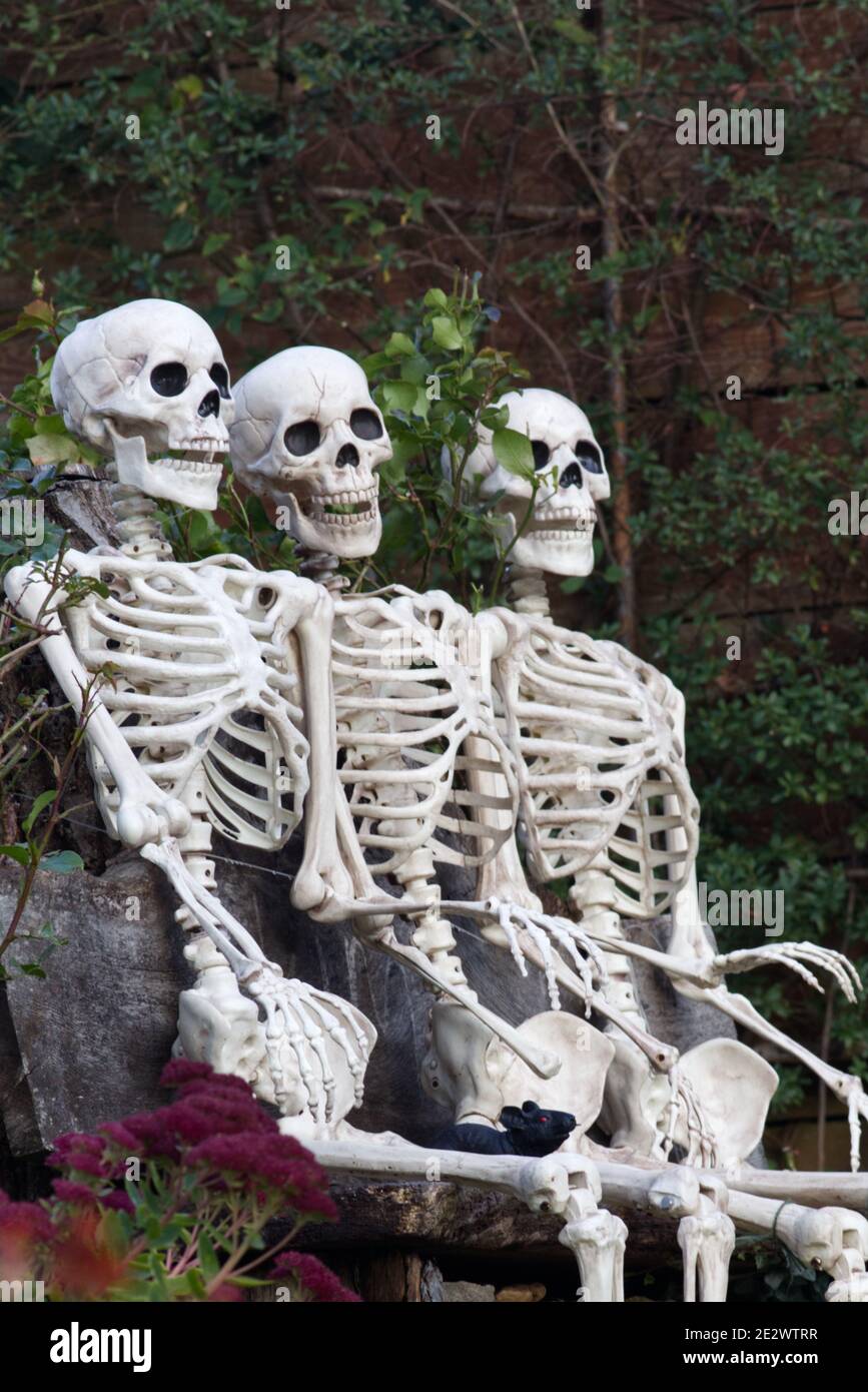 Skelette sitzen bei einem Plausch im Garten an Halloween Stockfoto