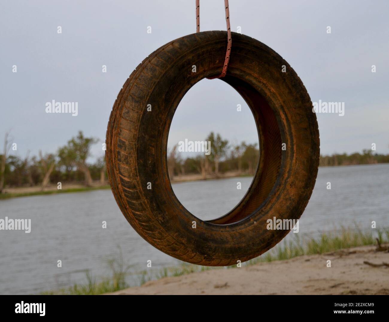 Alte Autoreifenschaukel für Kinder zum Spielen am schlammigen Ufer des Murray River in Mildura, die an einem Seil hängen Stockfoto