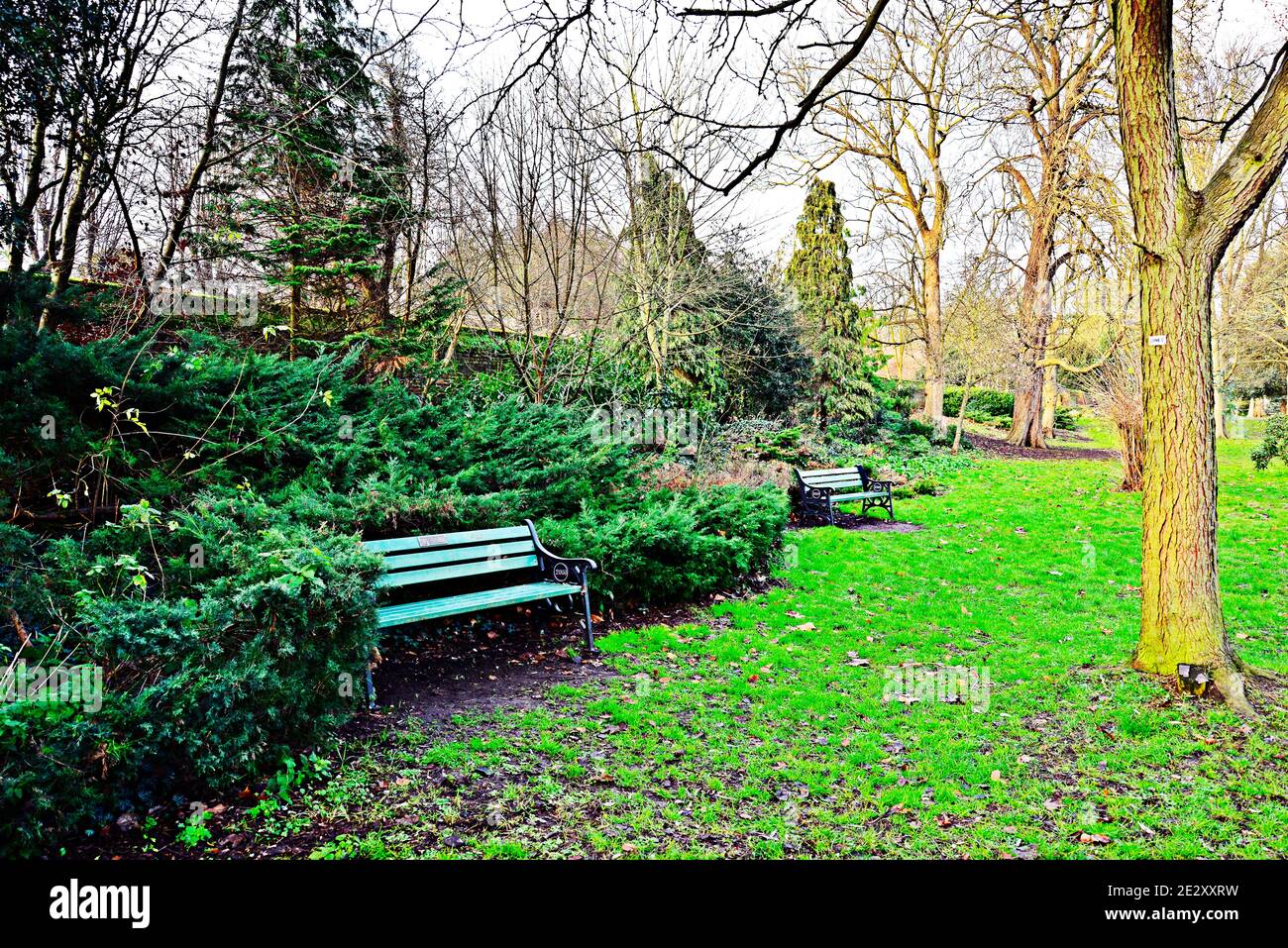 Bänke im park Stockfoto