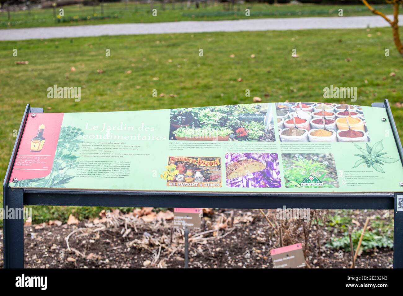 Genf, Schweiz, März 2019, Konservatorium und Botanischer Garten der Stadt Genf, Ausstellung und Sammlungen der einheimischen Flora Stockfoto