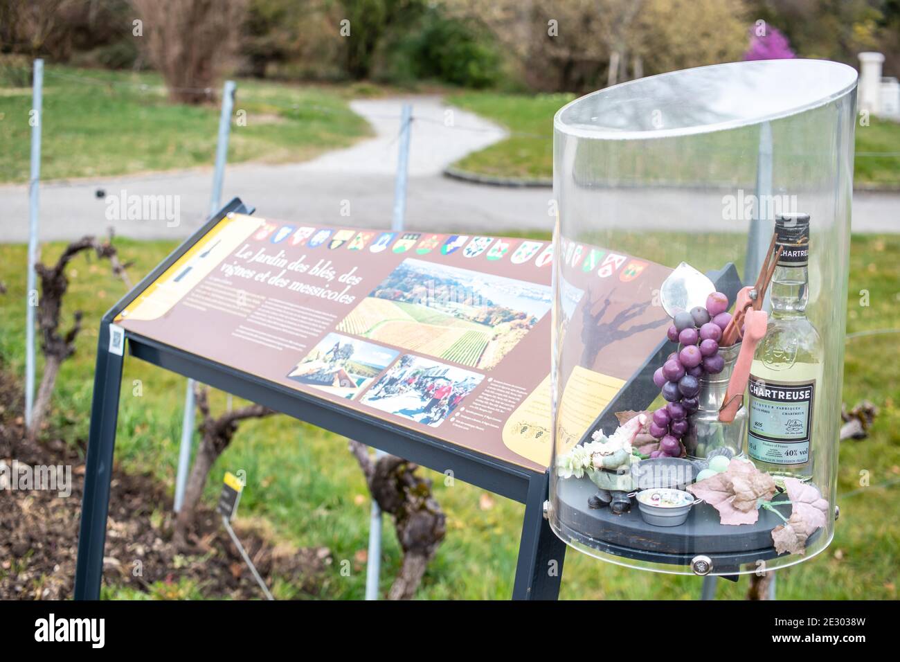 Genf, Schweiz, März 2019, Konservatorium und Botanischer Garten der Stadt Genf, Ausstellung und Sammlungen der einheimischen Flora Stockfoto