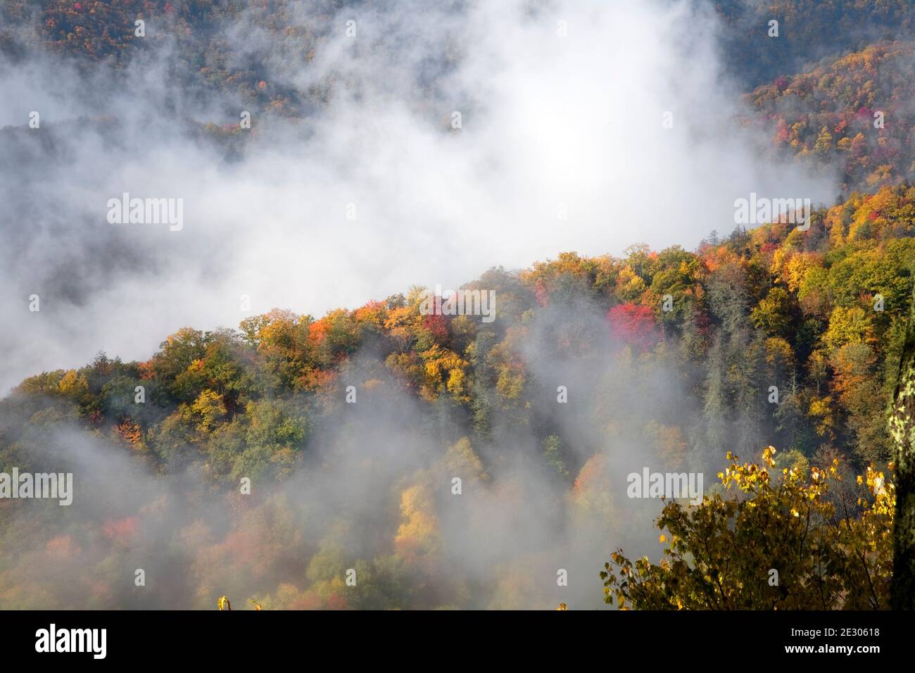 NC00180-00...NORTH CAROLINA - Herbstfarbe und aufsteigender Nebel vom Webb aus gesehen, überblicken Sie die neu entdeckte Gap Road im Great Smoky Mountains National Park. Stockfoto