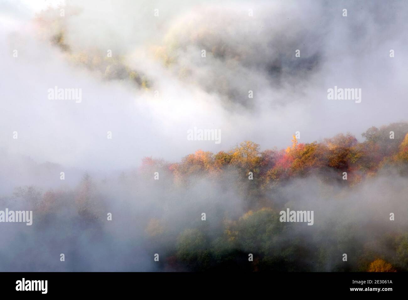 NC00183-00...NORTH CAROLINA - Herbstfarbe und aufsteigender Nebel vom Webb aus gesehen, überblicken Sie die neu entdeckte Gap Road im Great Smoky Mountains National Park. Stockfoto