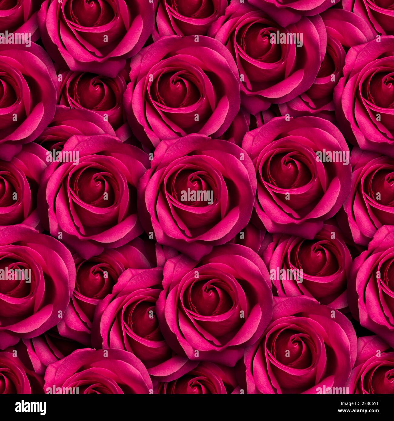 Rosa Rosen Nahtloses Musterdesign. Kann gekachelt werden Stockfoto