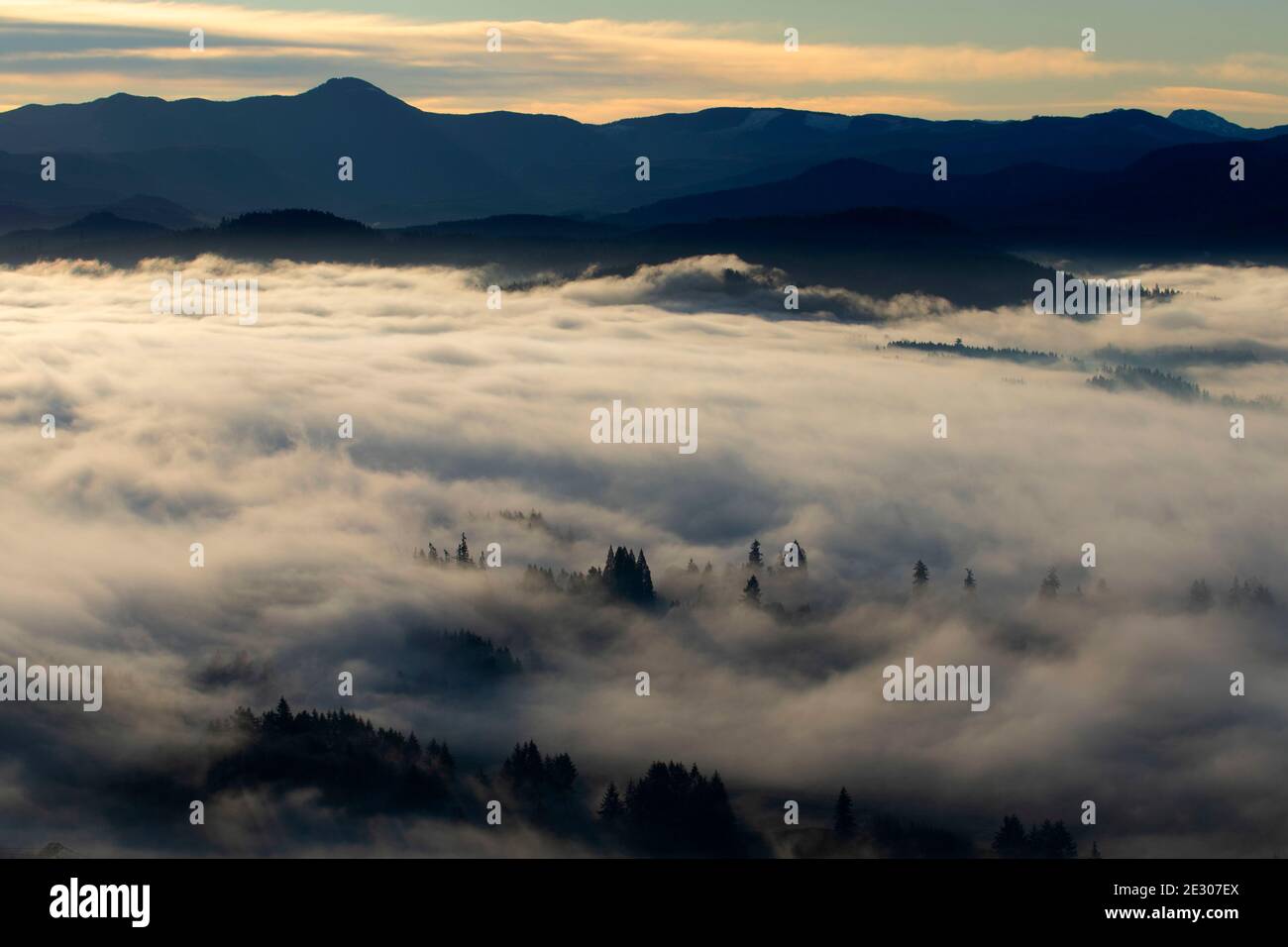 Talnebel vom Mount Pisgah Summit, Howard Buford County Park, Eugene, Oregon Stockfoto