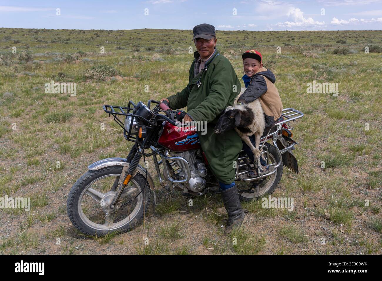 Olgii, Mongolei - 7. August 2019: Mongolischer Mann auf einem Motorrad mit Jungen und Schafen in der Steppe der Mongolei bei Olgii. Stockfoto