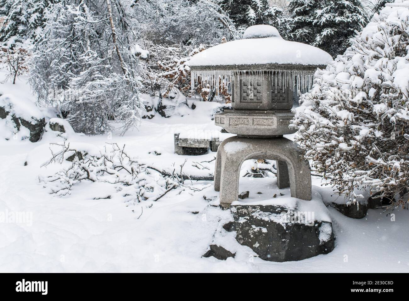 Japanischer Steingarten nach einem Wintereissturm. Bäume bedeckt mit Schnee und Eis. Kaltes, frostiges Schneewetter. Wunderschöne Winterlandschaft. Stockfoto