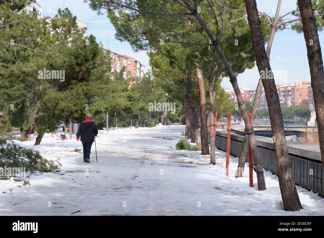 Madrid, Spanien. 15. Januar 2021: Alte Frau auf dem Schnee in Madrid Rio Park nach Filomena Schneesturm. Stockfoto