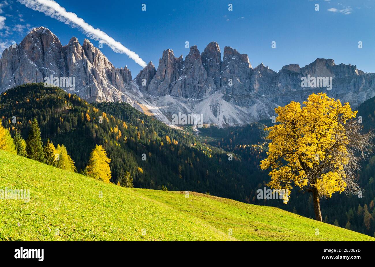 Blick auf die Geisler-Gruppe von der Straße nach Malga Zannes. Villnösser Tal, Dolomiten, Trentino-Südtirol, Italien. Stockfoto