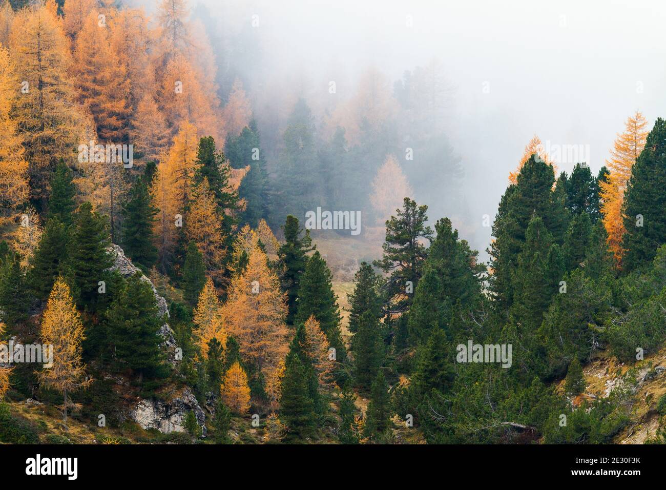 Blick auf die Geisler Berge während eines nebligen Morgens. Villnösser Tal, Dolomiten, Trentino-Südtirol, Italien. Stockfoto