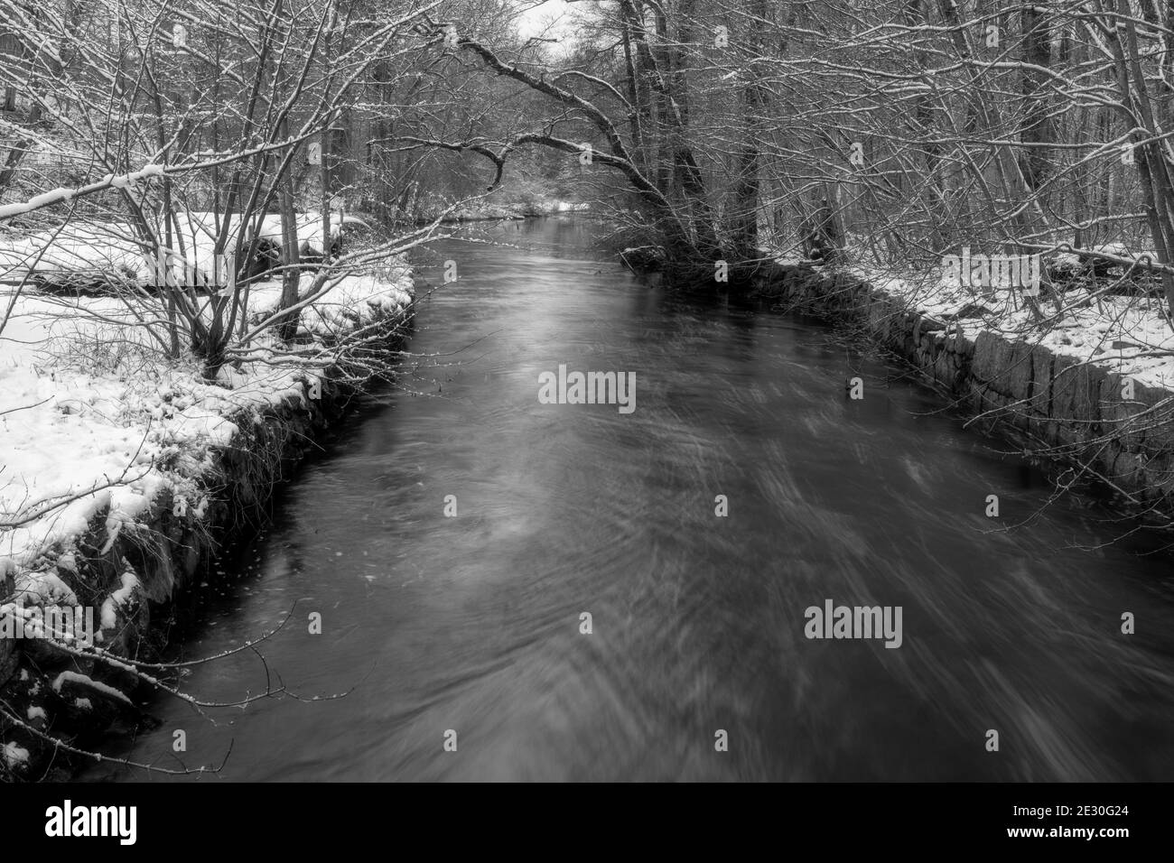 Ein Fluss, der durch einen verschneiten Winterwald schwimmt. Bild Ronne River, Scania County, Schweden Stockfoto