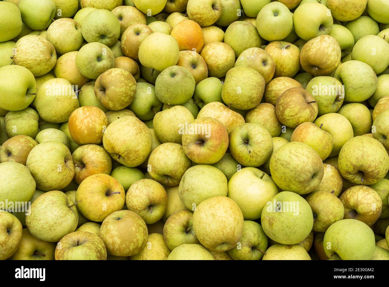 Kisten mit frischen Äpfeln in Südtirol in der Nähe eines Apfelplantagen. Stockfoto