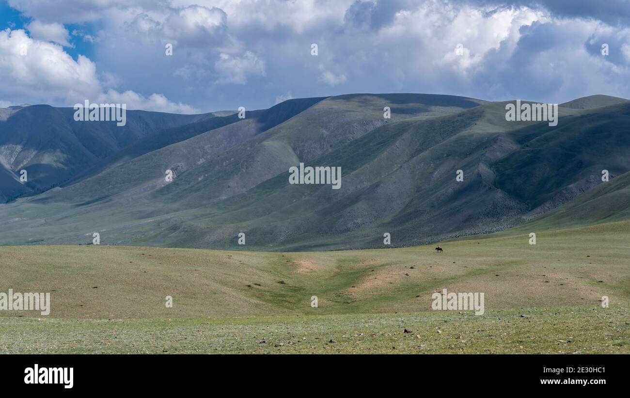 Bayan Olgi, Mongolei, 5. August 2019: Einsamer Reiter in der mongolischen Steppe mit Bergen und Hügeln. Stockfoto