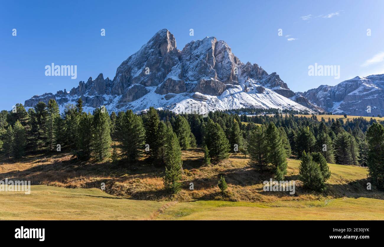 Berg mit Schnee im Herbst, SAS de Putia, in den Dolomiten, Italien mit Tannenwald und Mädow. Stockfoto