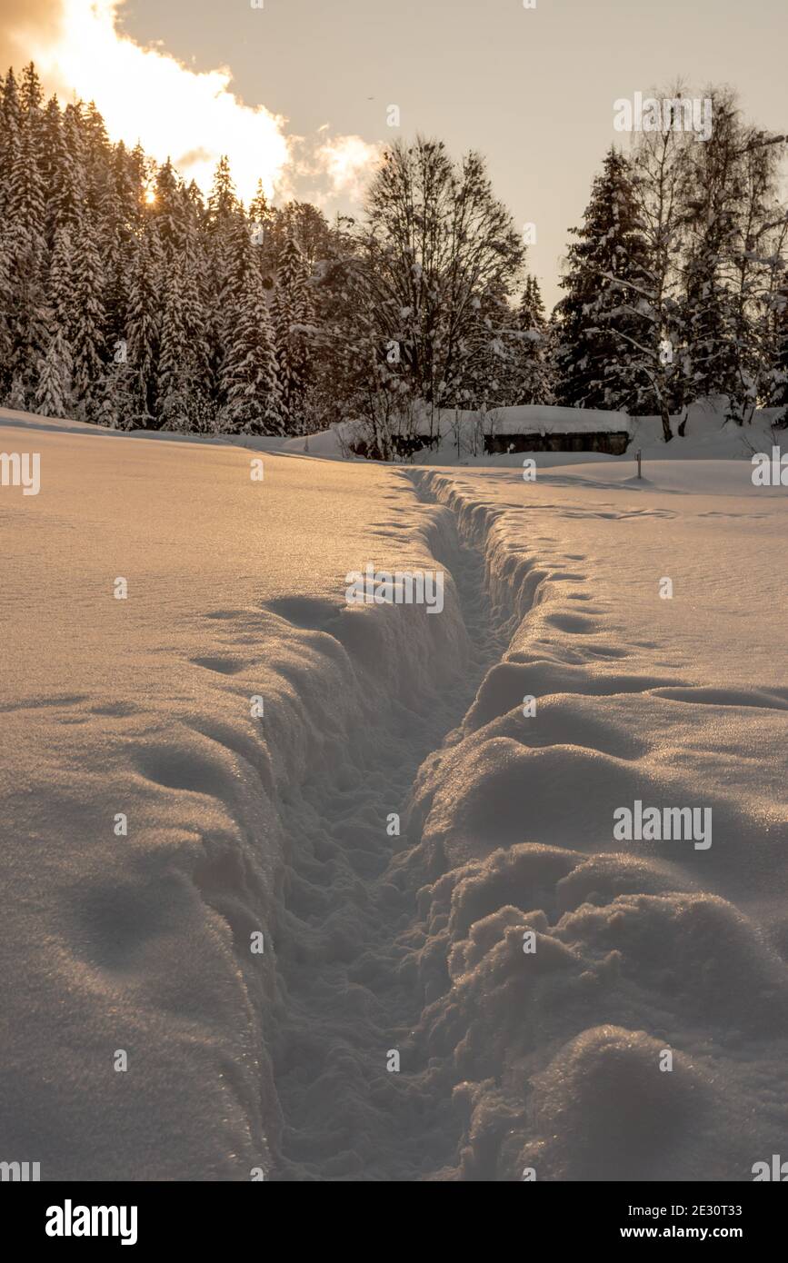 Trail im Schnee nach einem Schneefall Stockfoto