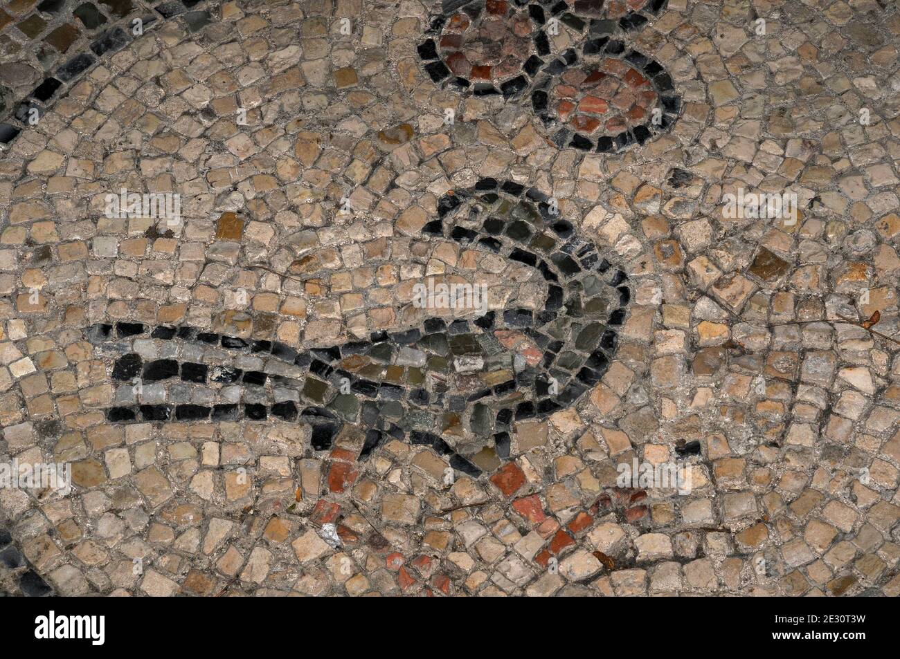 Ein geflüsterter Vogel dreht seinen Kopf, um rückwärts zu schauen, während er seinen Weg über das Mosaikpflaster der byzantinischen Basilica di San Vitale in Ravenna, Emilia-Romagna, Italien, macht. Die Kirche wurde im Jahre 547 n. Chr. geweiht, aber obwohl einige der Bodenmosaiken ursprüngliche byzantinische Arbeit sind, vor allem an der Peripherie, sind andere neuere oder Rekonstruktionen. Stockfoto