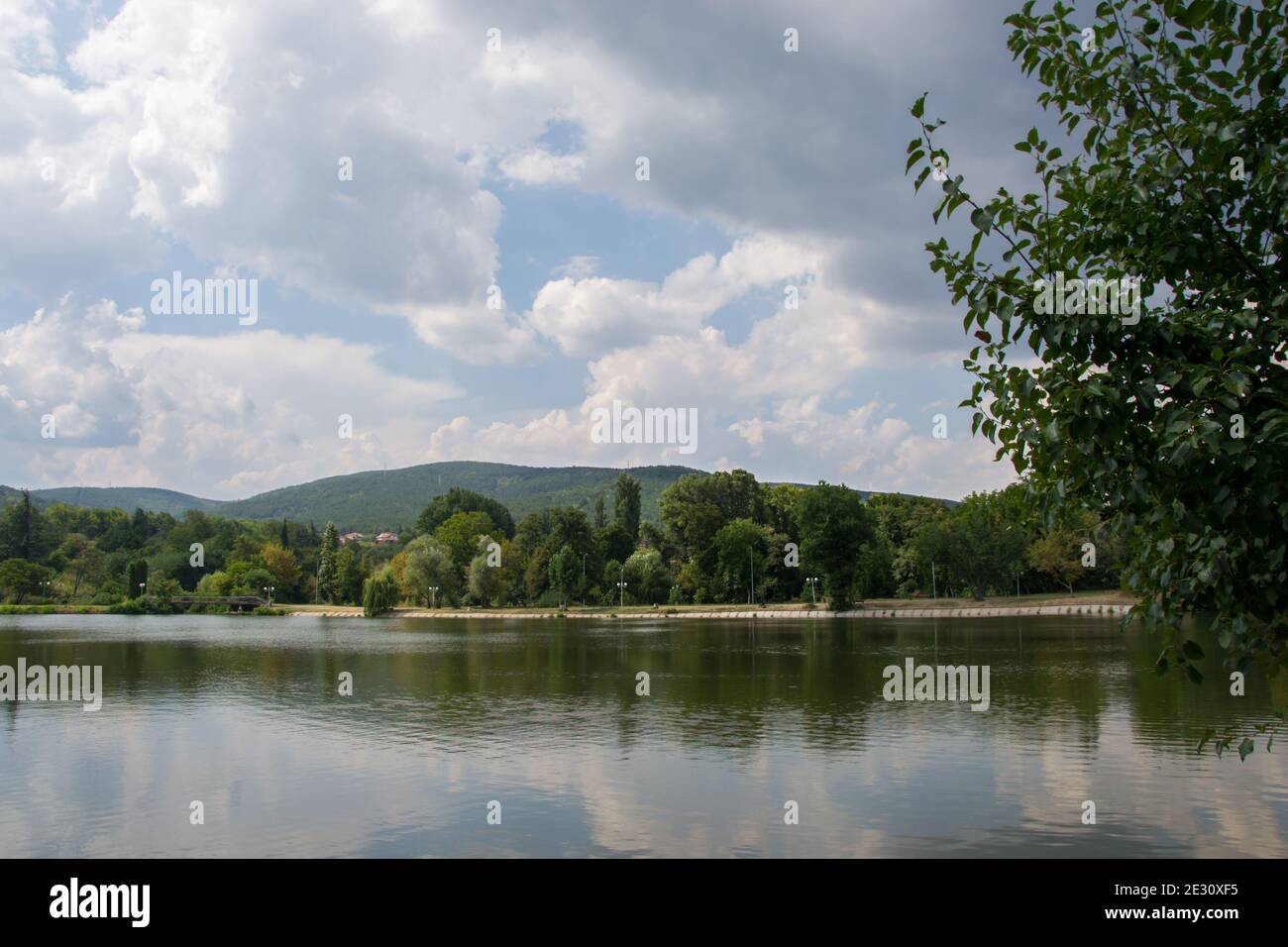 Schöne friedliche Natur, Bäume und Pflanzen auf einem See, Sommersaison, Reflexion im Wasser, Zagorka See, Stara Zagora, Bulgarien Stockfoto