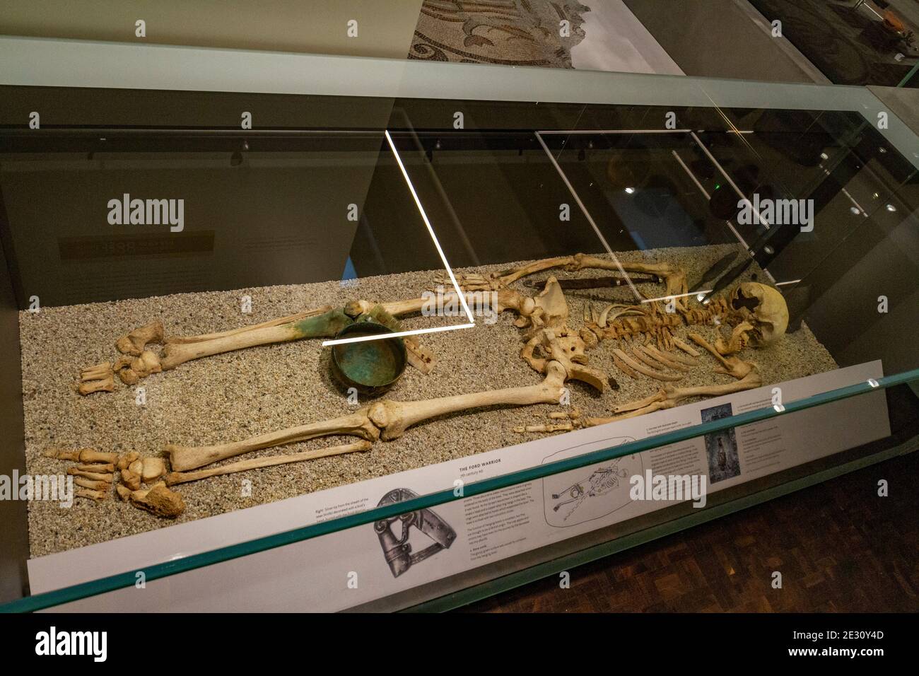 'The Ford Warrior', ein Begräbnis aus dem frühen Mittelalter (7th. Jahrhundert n. Chr.), im Salisbury Museum, Salisbury, Wiltshire, Großbritannien. Stockfoto
