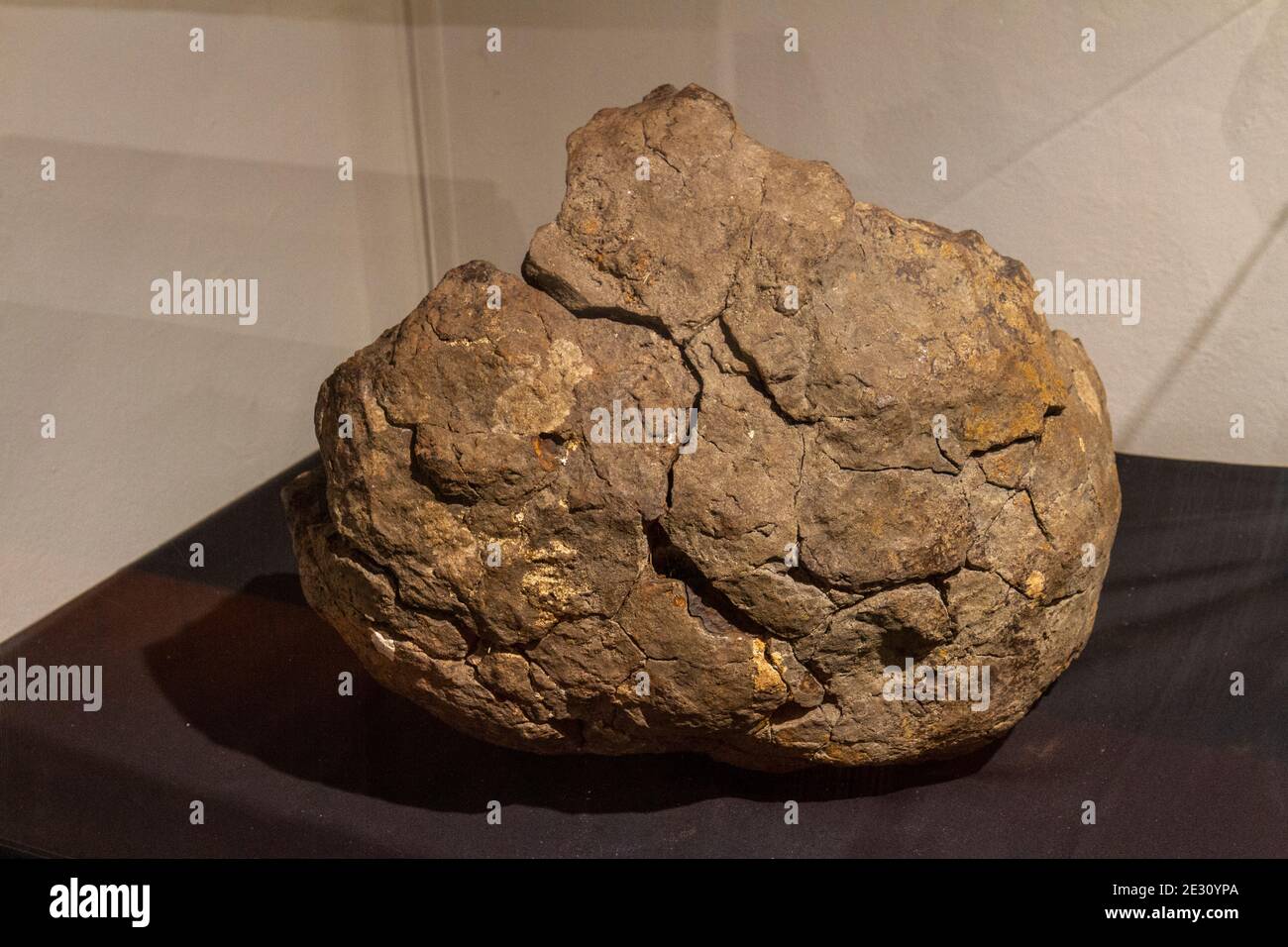 Der Meteorit aus Lake House, Wiltshire, Salisbury Museum, Salisbury, Wiltshire, Großbritannien. Stockfoto