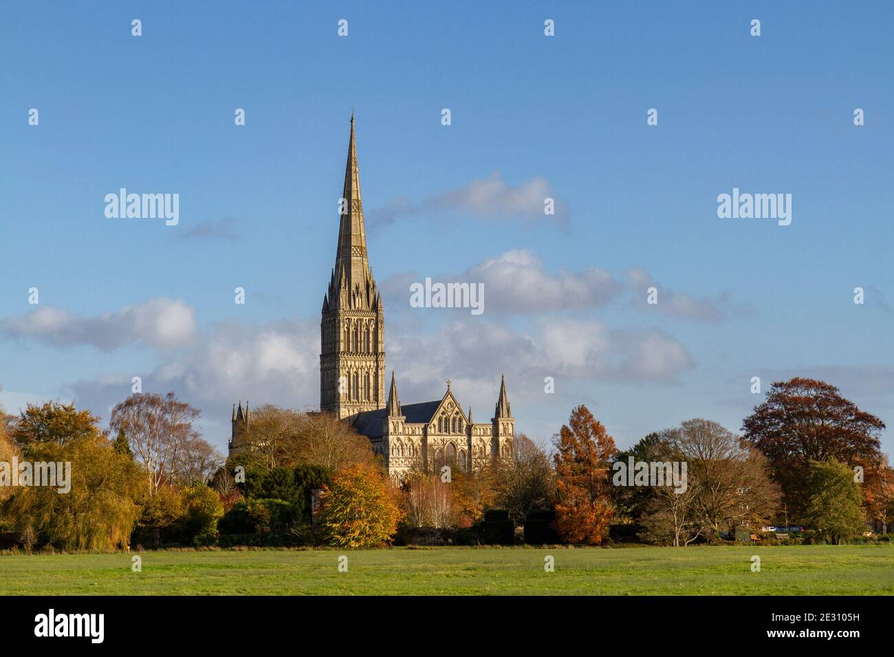 Blick über die Harnham Water Meadows auf den Turm der Salisbury Cathedral, südlich von Salisbury, Wiltshire, Großbritannien. Stockfoto