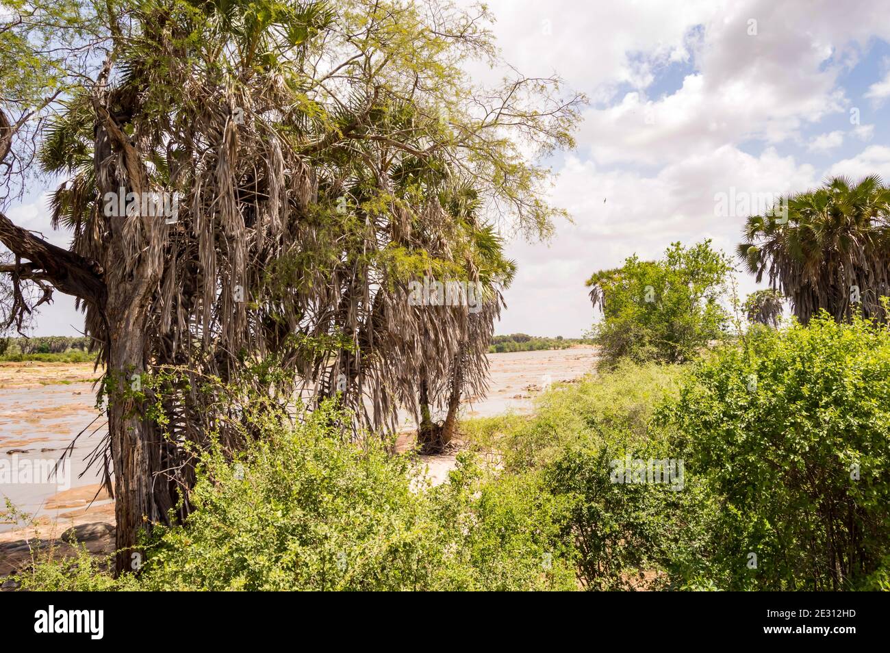 Galana River, Tsavo East National Park, Kenia, Ostafrika, Afrika Stockfoto