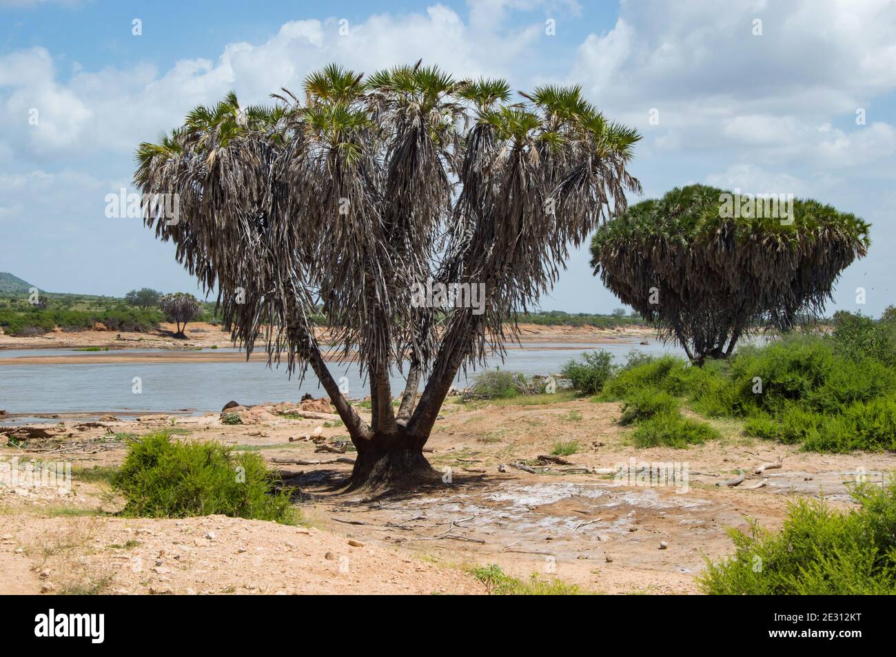 Galana River, Tsavo East Stockfoto