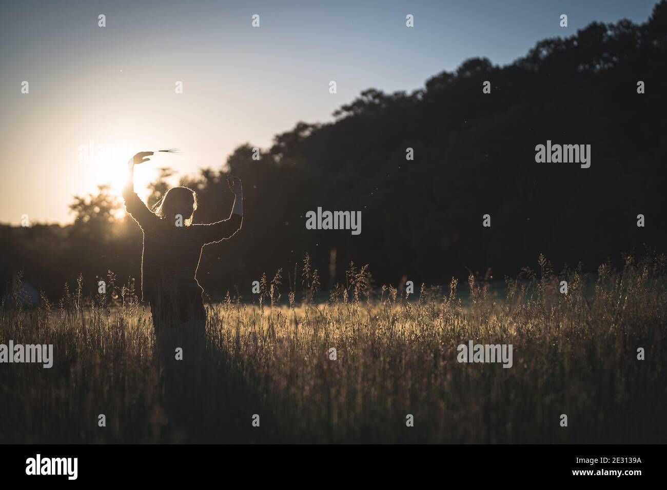 Eine junge Frau tanzt im hohen Gras, das während der goldenen Stunde von der untergehenden Sonne beleuchtet wird Stockfoto