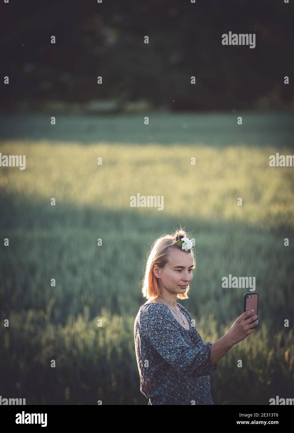 Eine junge Frau, die ihr Telefon in einem blauen Kleid hält Und mit einer weißen Blume im Haar nimmt ein Selfie steht in einem Gerstenfeld Stockfoto