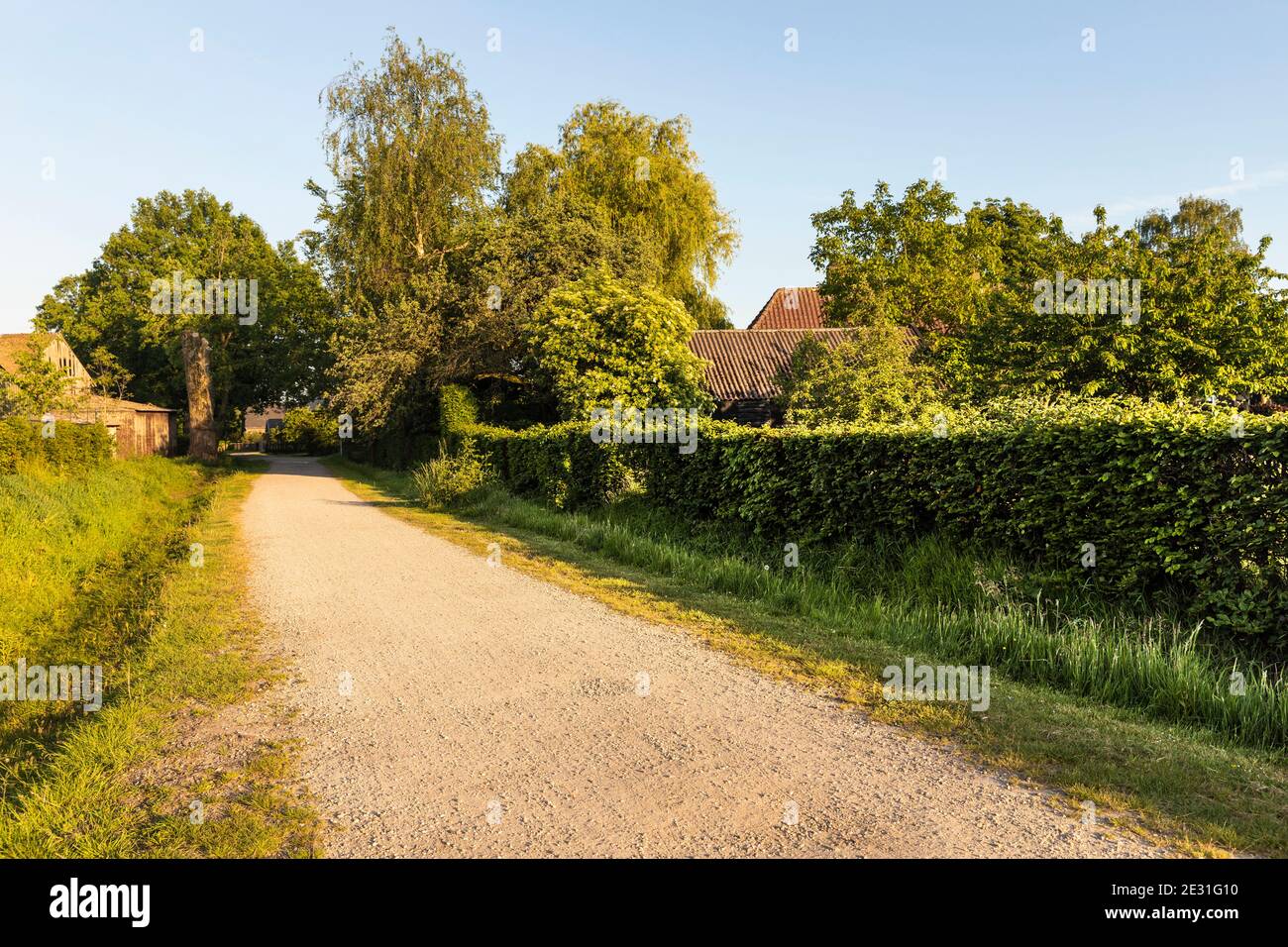 Ein Wanderweg in Eersel, einer ländlichen Gegend in den Niederlanden, umgeben von Bäumen und viel Grün. Aufgenommen an einem sonnigen Tag während des Sonnenuntergangs, wodurch ein idyllischer Scen entsteht Stockfoto