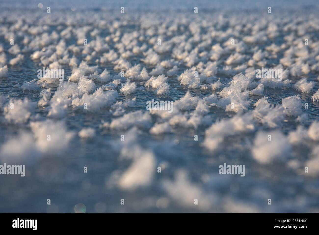Federartige Eisformationen auf gefrorenem Meer Stockfoto