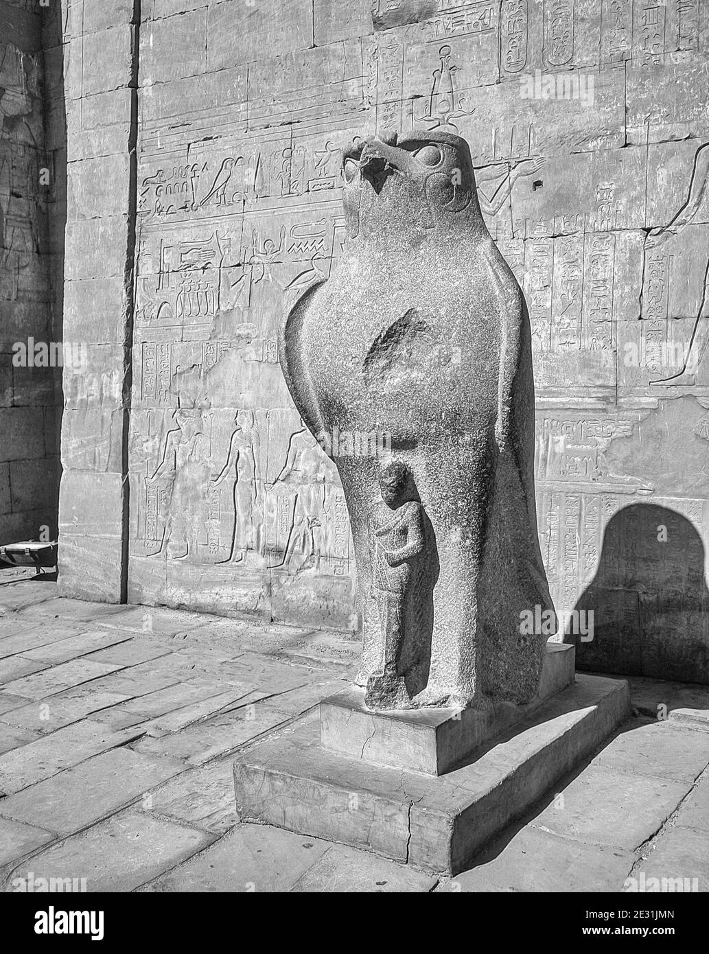 Edfu. Dies ist Horus der Falke Gott außerhalb des Hypostyle Hall Hof am 200 v. Chr. Tempel des Horus der Falke Gott, auf halbem Weg zwischen Luxor und Assuan auf dem Nil und der Stadt Edfu berühmt für seine riesigen Pylons, fein dekorierte Säulen, Cartouche Hieroglyphen Geschichte erzählen Wandtafeln, Und feine Kunstwerke an den Decken. Der Tempel war glücklich, dass die Mehrheit von ihm vom Wind geblasen Sand bedeckt wurde, wodurch der Tempel von den Elementen für Jahrhunderte bewahrt wurde. Stockfoto