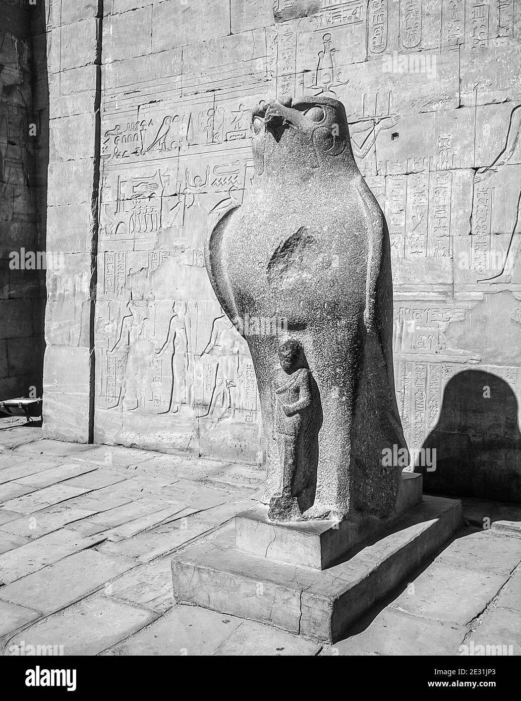 Edfu. Dies ist Horus der Falke Gott außerhalb des Hypostyle Hall Hof am 200 v. Chr. Tempel des Horus der Falke Gott, auf halbem Weg zwischen Luxor und Assuan auf dem Nil und der Stadt Edfu berühmt für seine riesigen Pylons, fein dekorierte Säulen, Cartouche Hieroglyphen Geschichte erzählen Wandtafeln, Und feine Kunstwerke an den Decken. Der Tempel war glücklich, dass die Mehrheit von ihm vom Wind geblasen Sand bedeckt wurde, wodurch der Tempel von den Elementen für Jahrhunderte bewahrt wurde. Stockfoto