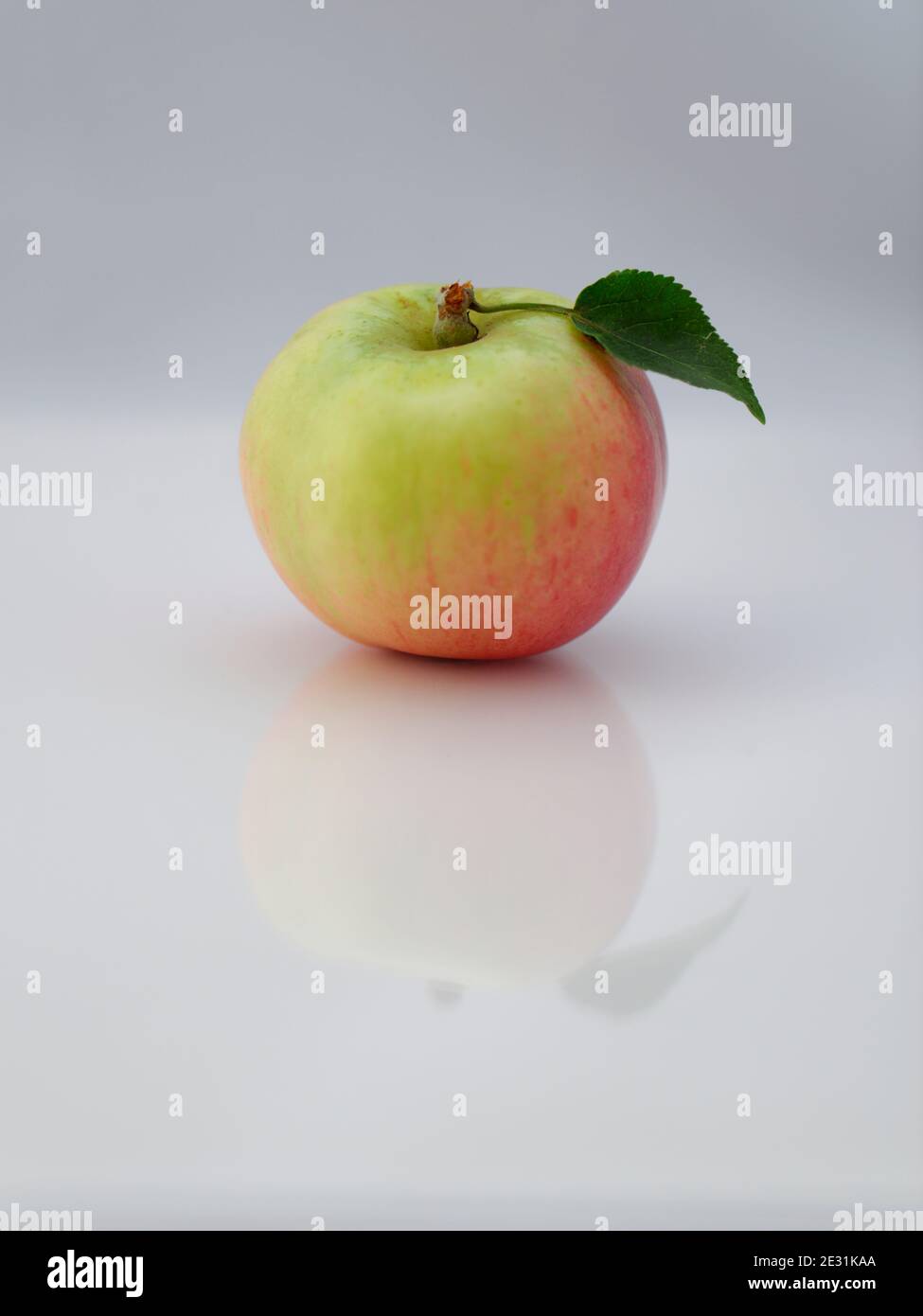 Apfel mit Blatt vor weißem Hintergrund mit Spiegelung. Parodie auf das Logo von Apple Inc. Stockfoto