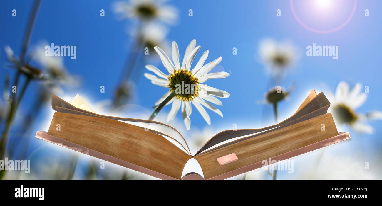World Book Day. Internationale Kompetenz. Grußkarte. Offenes Buch auf sonnigen Feld mit Blumen Hintergrund. Bildungskonzept für Wissensbedeutung Stockfoto
