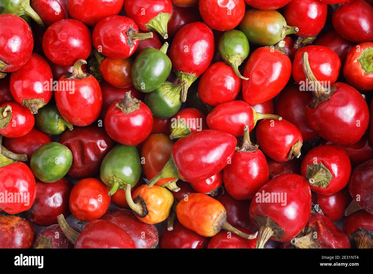Haufen von roten und grünen Hot Cherry Peppers Stockfoto