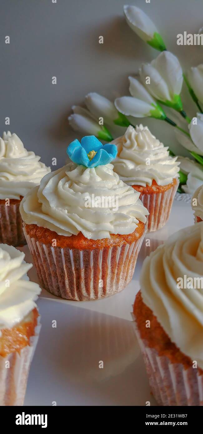 Ð¡Arrot Cupcakes mit Buttercreme mit blauer Zuckerblume verziert Stockfoto