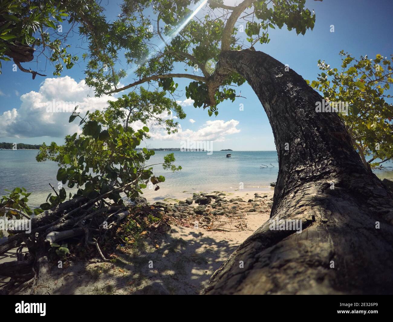 Natur Jamaikas Stockfoto