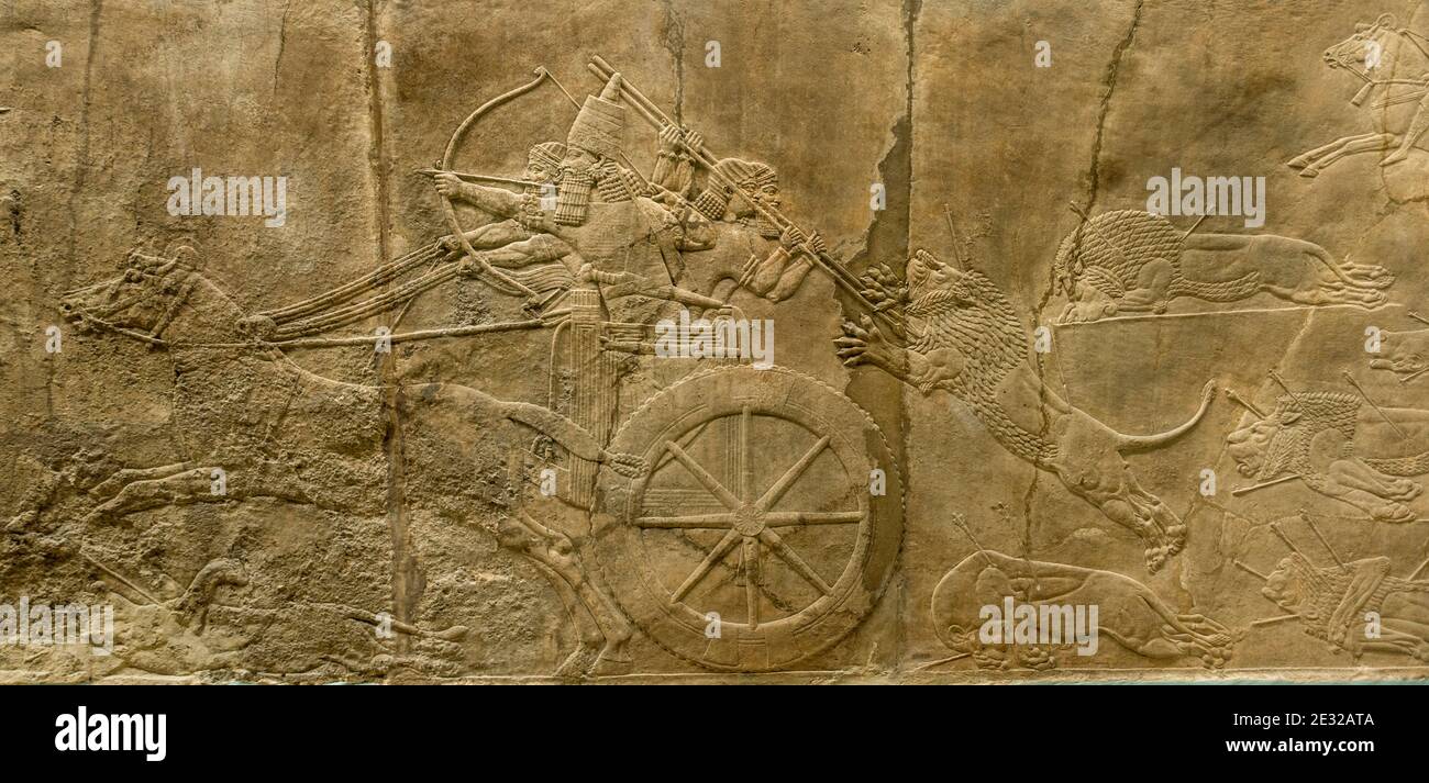 Die Löwenjagd-Szene von Ashurbanipal II. 7.. Jahrhundert v. Chr. Aus dem North Palace in Ninive, jetzt im British Museum, London, UKcivilisation Stockfoto