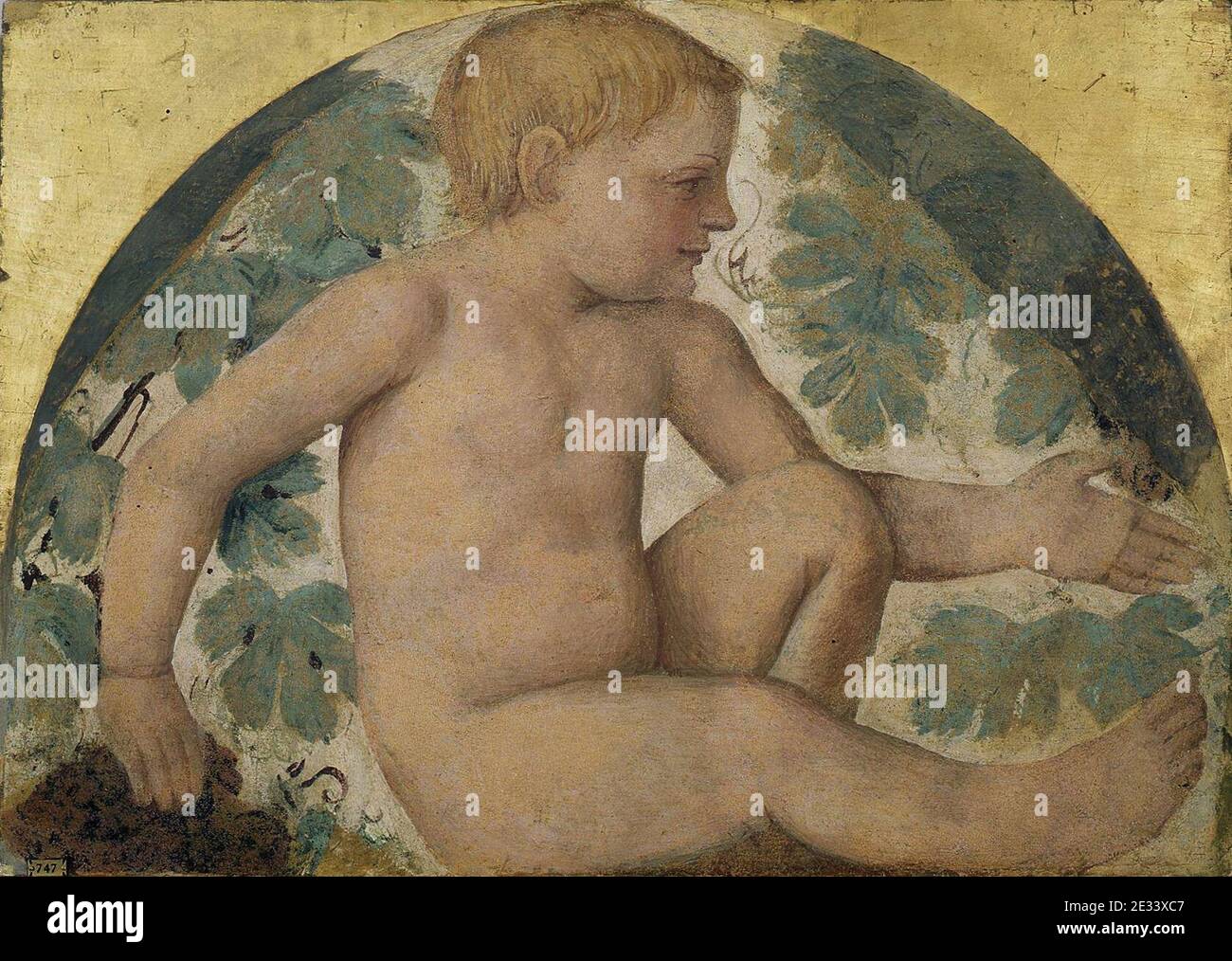 Luini - Putti Trauben ernten – Putto unter einer Rebe Trellis, c. 1514, 5532. Stockfoto