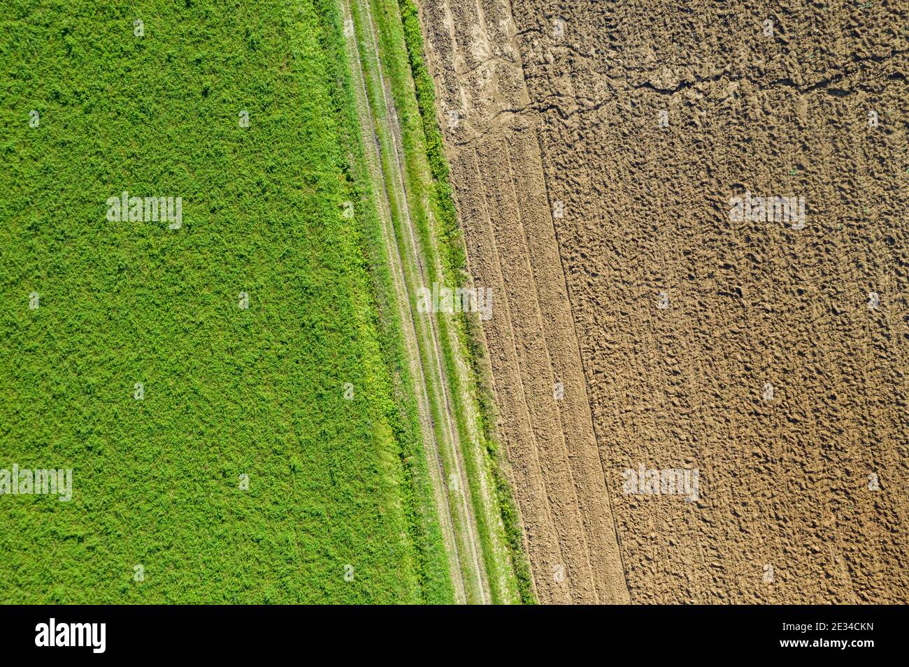 Trockene und grüne Terrains. Desertifikationskonzept, Trockenland versus fruchtbares Land Stockfoto