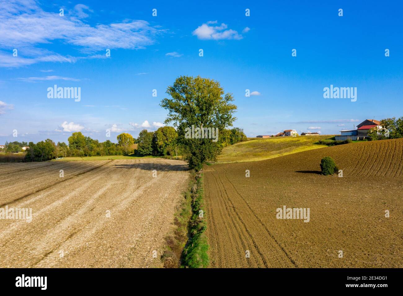 Einzelne Baum- und Kulturfelder in der Monferrato-Gegend, etwas außerhalb von Casale Monferrato Stockfoto