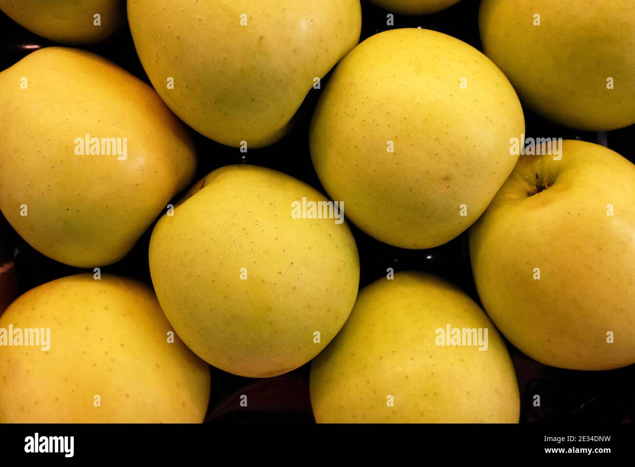 Hintergrund mit horizontalen gelben Äpfeln Stockfoto