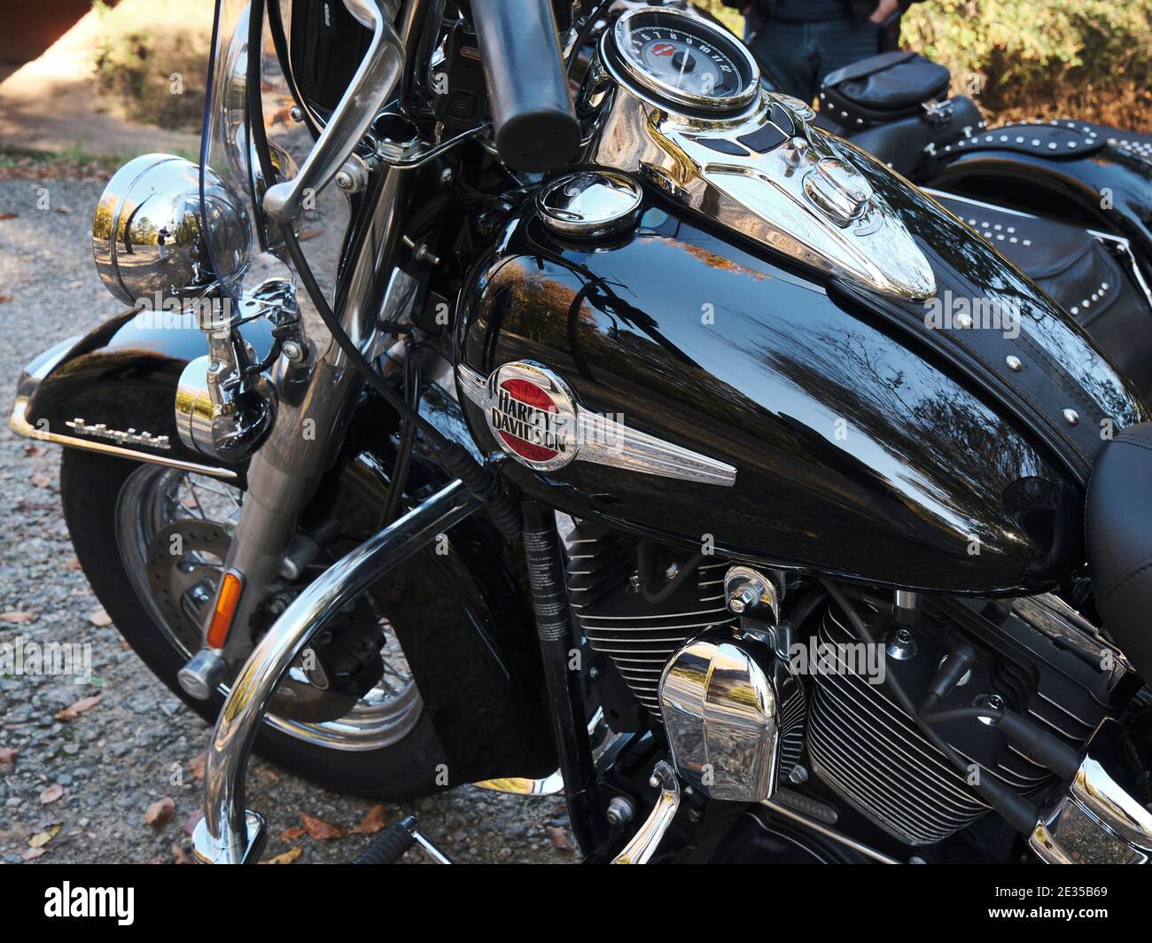 Nahaufnahme Detail der Tank und Motor eines schwarzen Harley Davidson Motorrad gemeinhin als ein Schwein, geparkt. Stockfoto