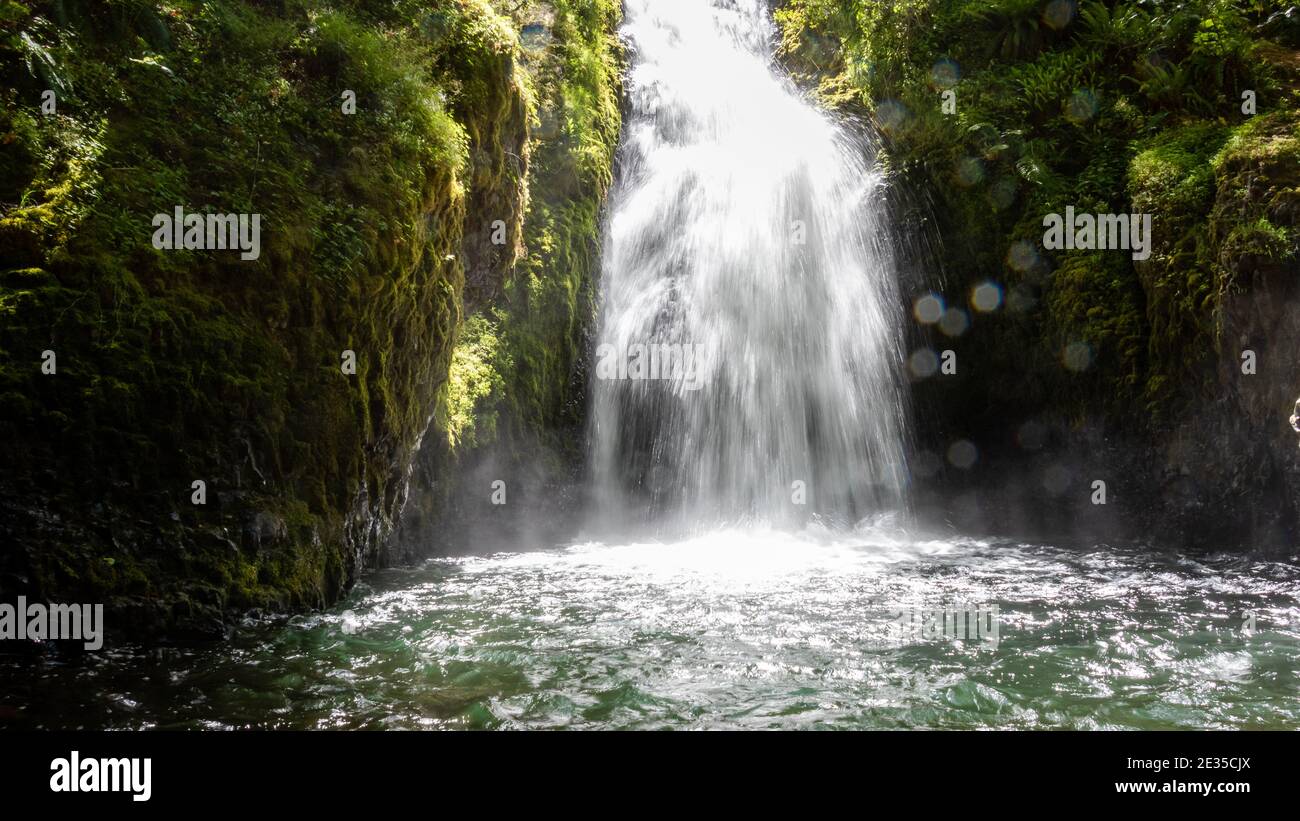 Oregon Wasserfall Stockfoto