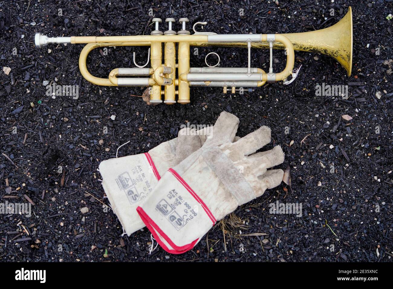 Mannheim, Deutschland. Januar 2021. Die Trompete von Johannes Stange, Jazztrompeter und angehenden Bio-Bauern, und seine Arbeitshandschuhe liegen auf einem Bett aus Knoblauchpflanzen. Mit Blick auf die Absage von Konzerten aufgrund der Corona ändert er seine Karriere und schafft eine zweite wirtschaftliche Stütze mit Gartenarbeit. Quelle: Uwe Anspach/dpa/Alamy Live News Stockfoto