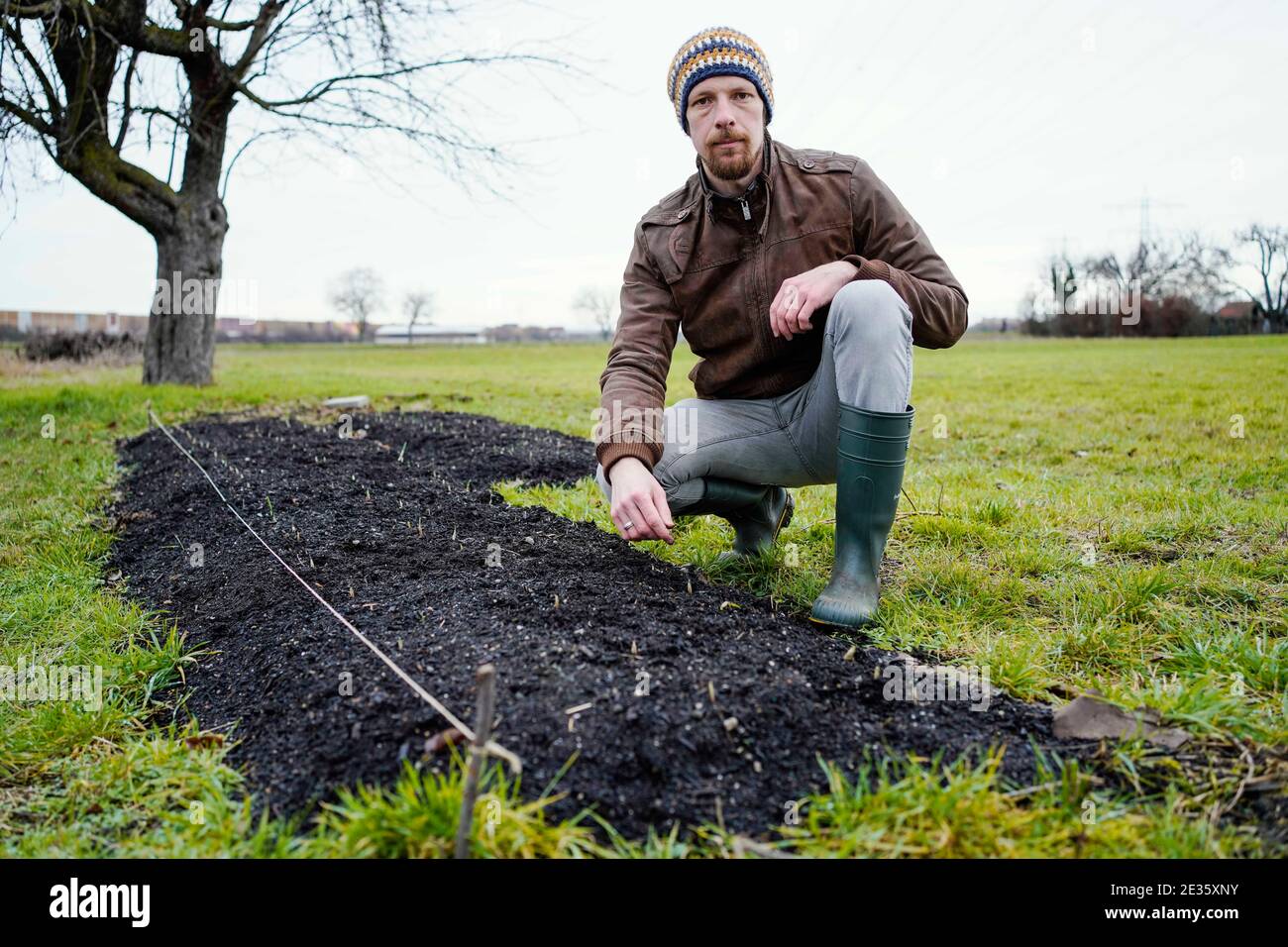 Mannheim, Deutschland. Januar 2021. Johannes Stange, Jazz-Trompeter und angehende Bio-Bauer, hockt an einem Bett von Knoblauchpflanzen. Angesichts der Absage von Konzerten aufgrund von Corona änderte er seine Karriere und schuf mit dem Gartenbau eine zweite wirtschaftliche Säule. (An dpa-KORR: 'Keine Konzerte: Musiker schaffen zweite Stütze bei Gärtnern') Quelle: Uwe Anspach/dpa/Alamy Live News Stockfoto