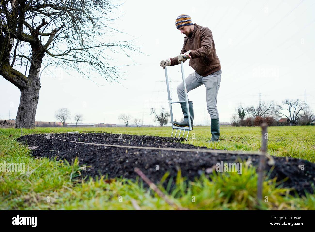 Mannheim, Deutschland. Januar 2021. Johannes Stange, Jazztrompeter und angehende Bio-Bauer, steht an einem Bett aus Knoblauchpflanzen. Angesichts der Absage von Konzerten aufgrund der Corona wechselt er zur Gartenarbeit als zweite Einkommensquelle. Quelle: Uwe Anspach/dpa/Alamy Live News Stockfoto