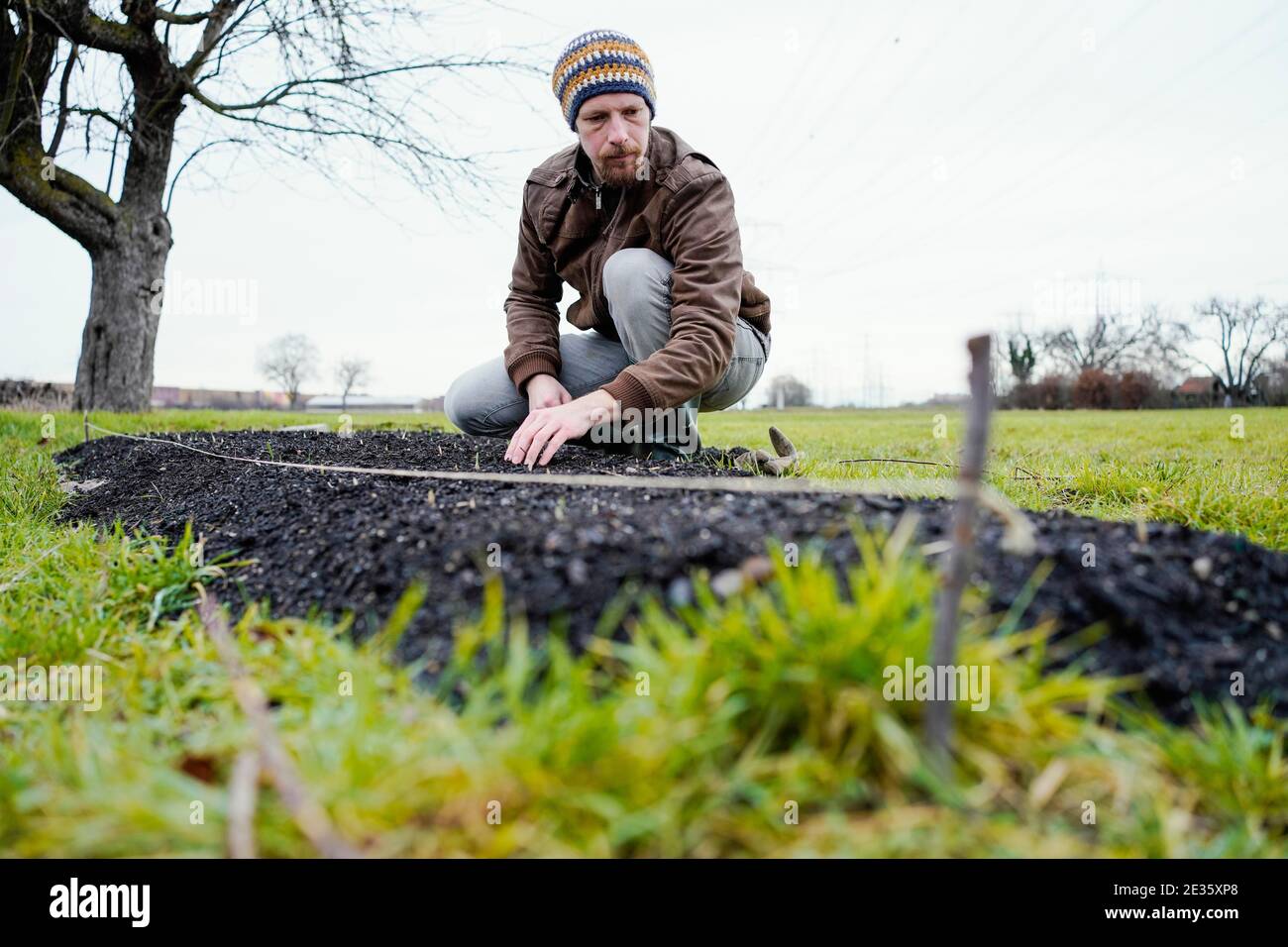 Mannheim, Deutschland. Januar 2021. Johannes Stange, Jazz-Trompeter und angehende Bio-Bauer, hockt an einem Bett von Knoblauchpflanzen. Angesichts der Absage von Konzerten aufgrund von Corona änderte er seine Karriere und schuf mit dem Gartenbau eine zweite wirtschaftliche Säule. (An dpa-KORR: 'Keine Konzerte: Musiker schaffen zweite Stütze bei Gärtnern') Quelle: Uwe Anspach/dpa/Alamy Live News Stockfoto