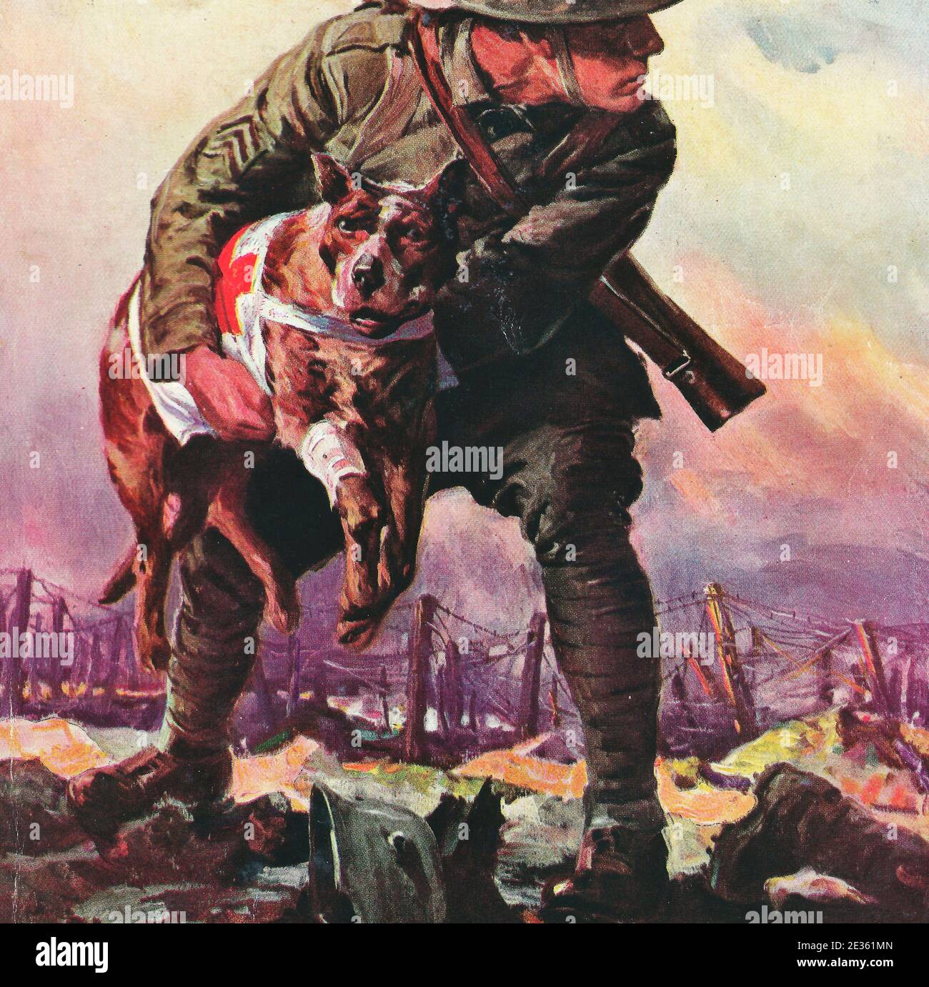 Ein Soldat mit einem roten Kreuzhund an der Front Während des Ersten Weltkrieges Stockfoto