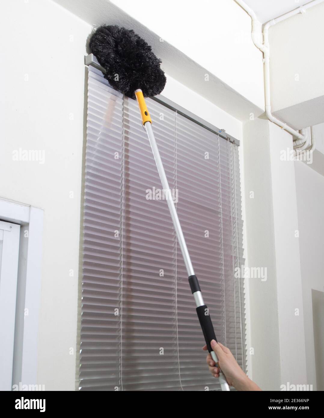 Die Zimmermädchen putzen Jalousien mit schwarzen Staubfedern Stockfoto